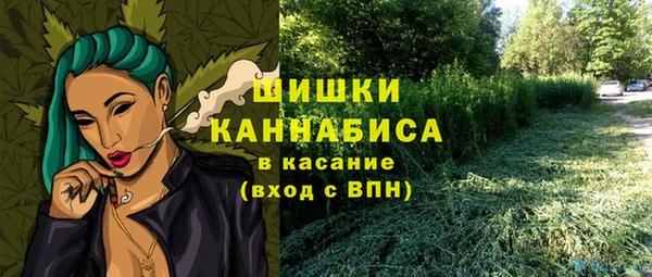 прущий лед Абаза
