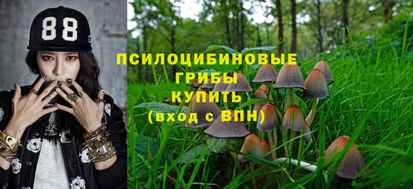 стаф Алексеевка