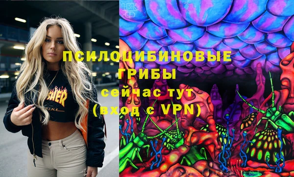 прущий лед Абаза