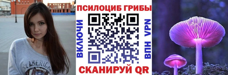 Псилоцибиновые грибы мицелий  Каргополь 