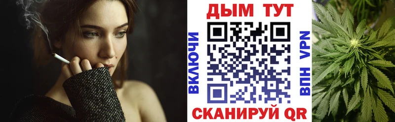 MEGA сайт Каргополь Бошки Шишки индика